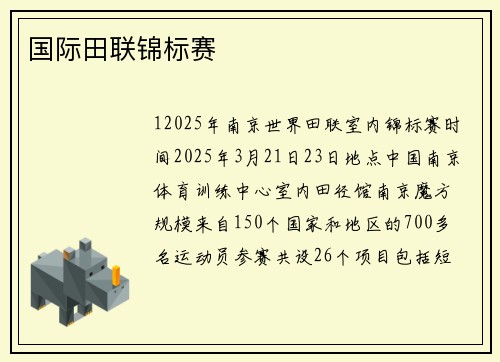国际田联锦标赛
